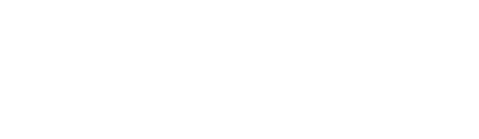 The PRO Company
