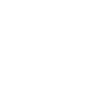 Bundesliga