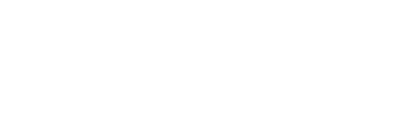 The PRO Company